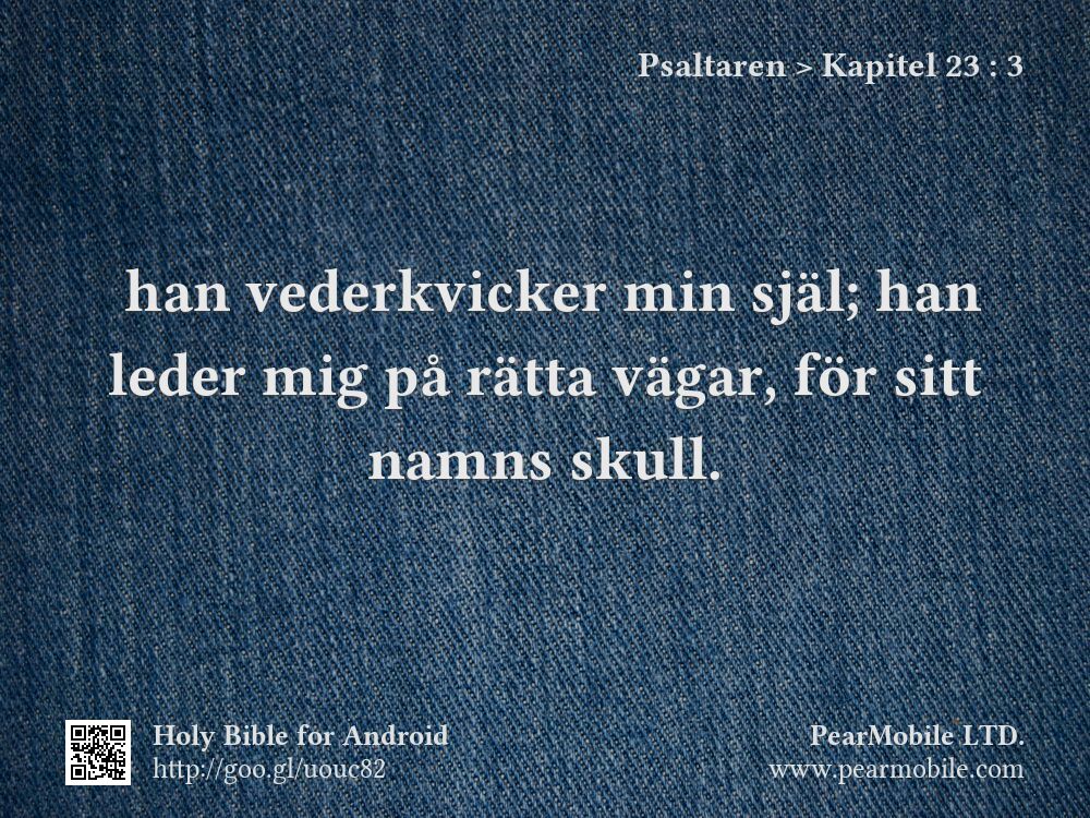 Psaltaren, Kapitel 23:3